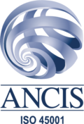 ancis-45001